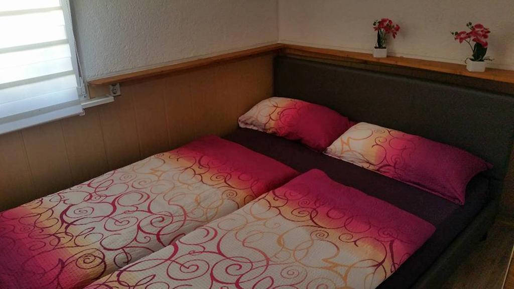 Haus Hazienda Briedel Kültér fotó